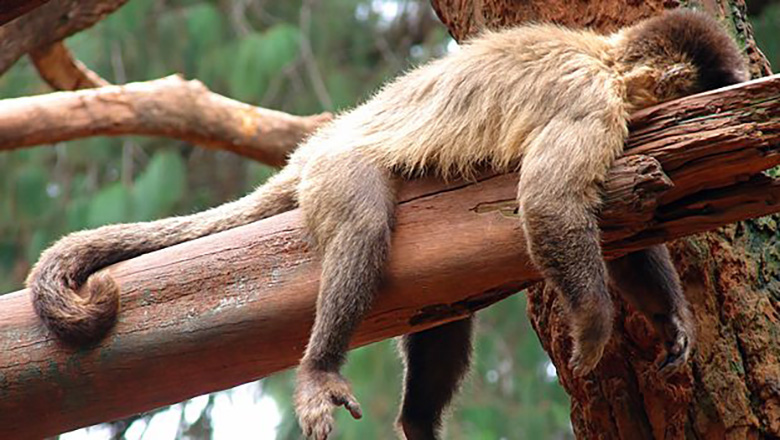 How AI can help prevent burnout in leaders