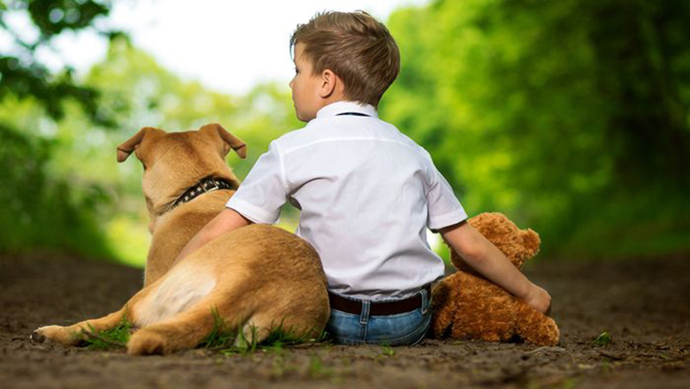 Illustrative article header image