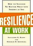 Cover of Resilience at Work: How to Succeed No Matter What Life Throws at You