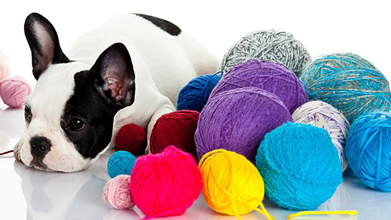 Illustrative article header image