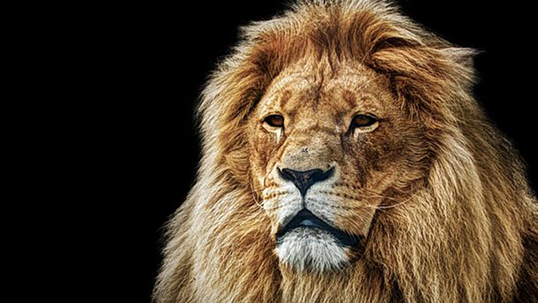 Illustrative article header image