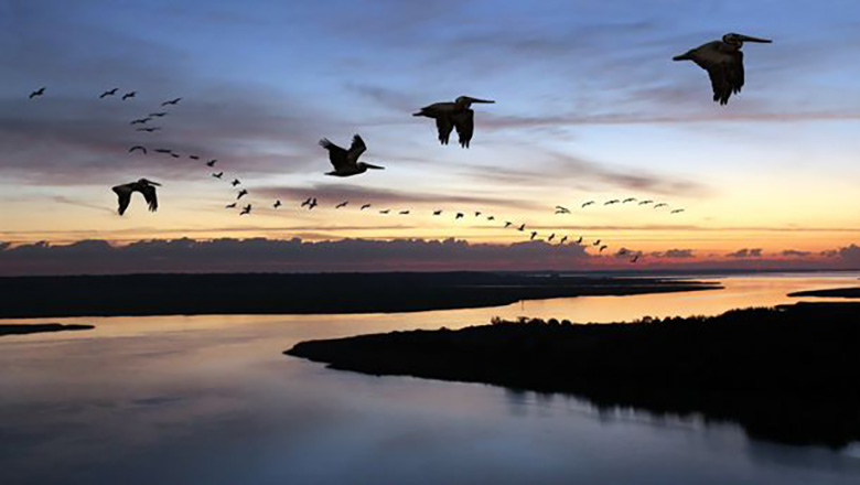 Illustrative article header image