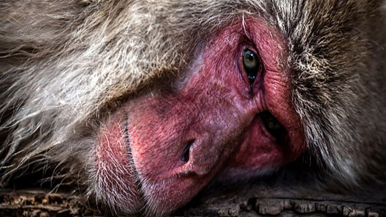 Illustrative article header image