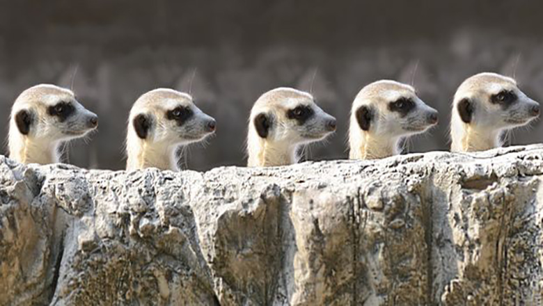 Illustrative article header image