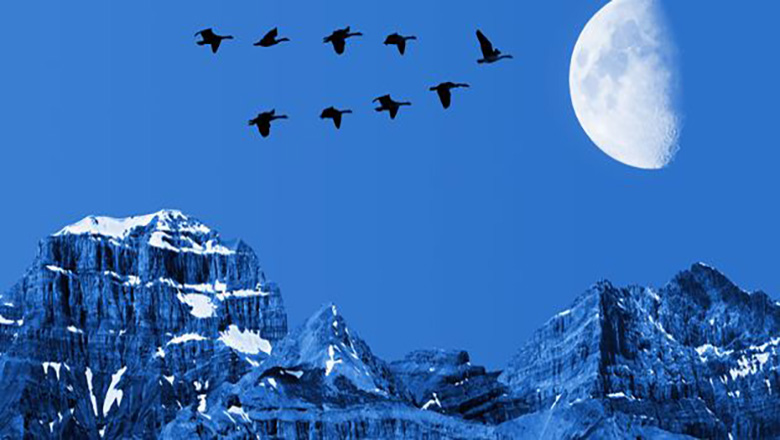 Illustrative article header image