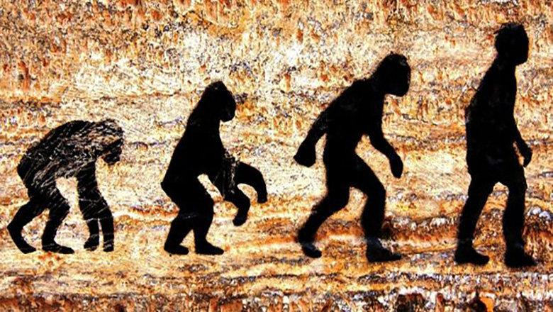 Illustrative article header image