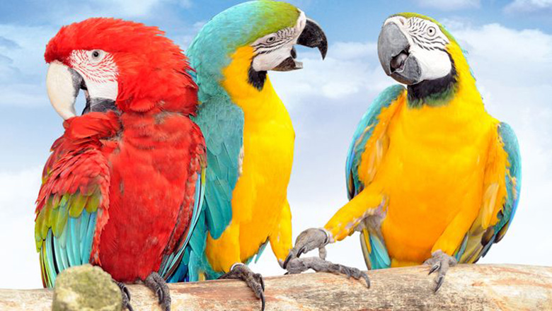 Illustrative article header image