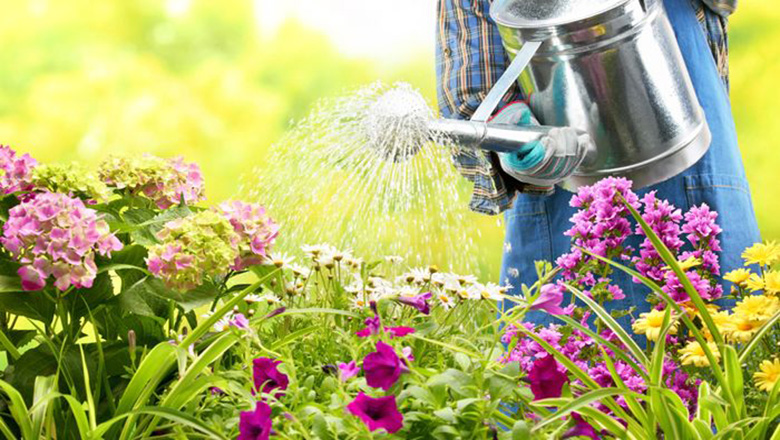 Illustrative article header image