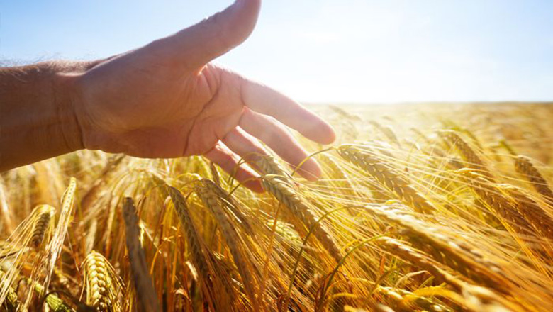 Illustrative article header image