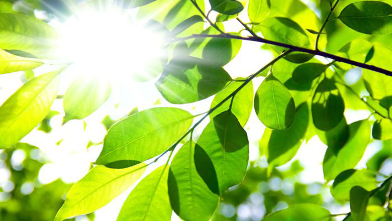 Growing with grief: The role of employers in long-term support