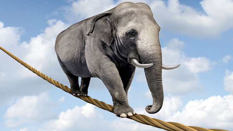 Illustrative article header image