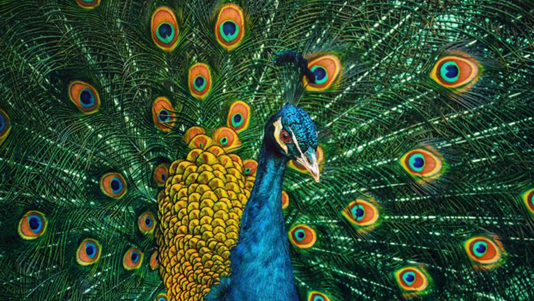 Illustrative article header image