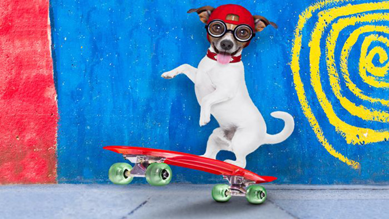 Illustrative article header image