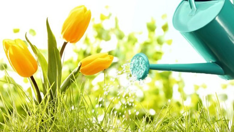 Illustrative article header image