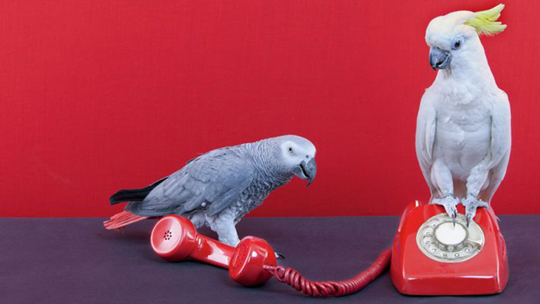 Illustrative article header image