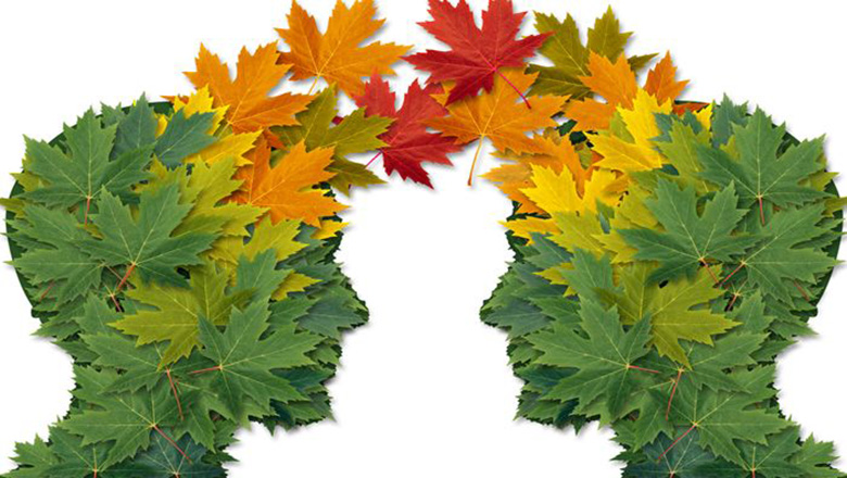 Illustrative article header image