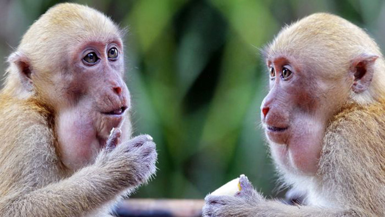 Illustrative article header image