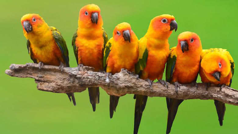 Illustrative article header image