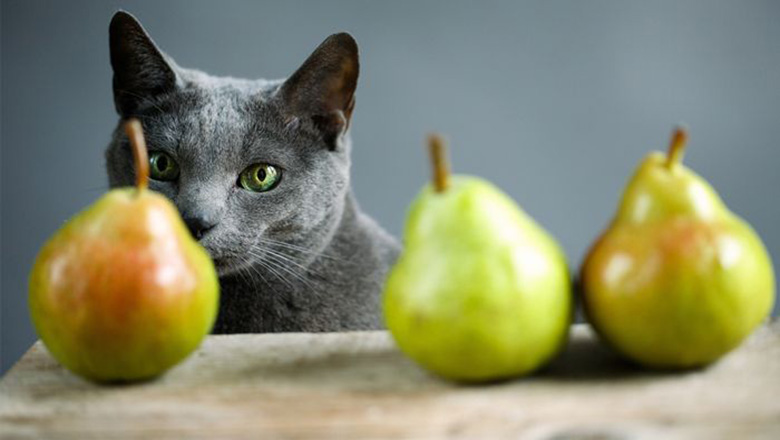 Illustrative article header image