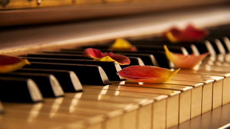 Illustrative article header image