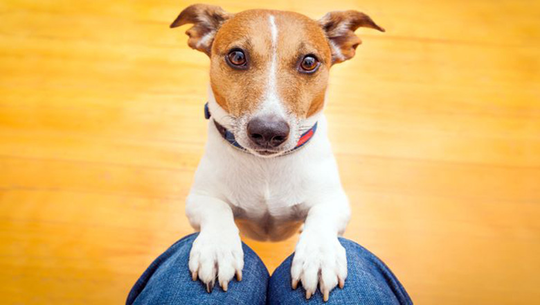 Illustrative article header image