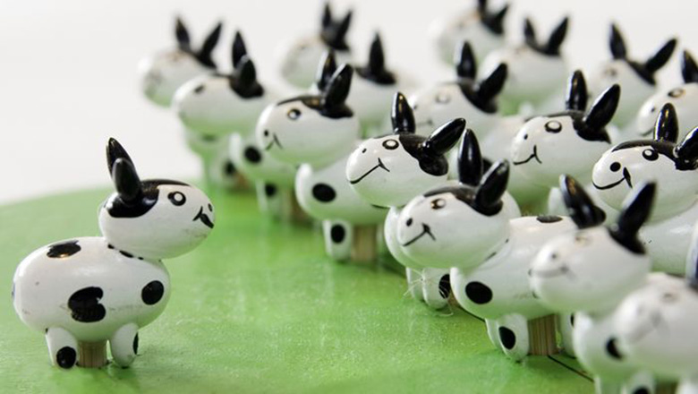 Avoid herd mentality: only dead fish go with the flow