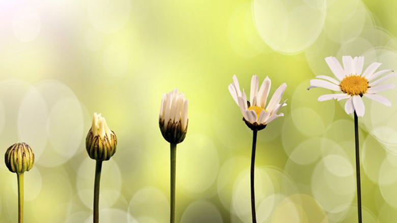 Building your leadership pipeline: the crucial role of confidence