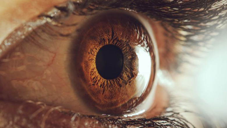 Illustrative article header image