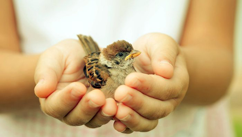 Illustrative article header image