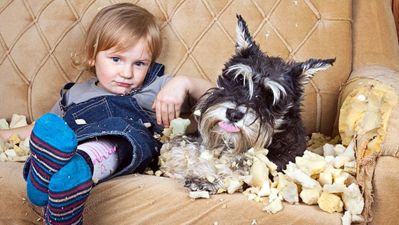 Illustrative article header image