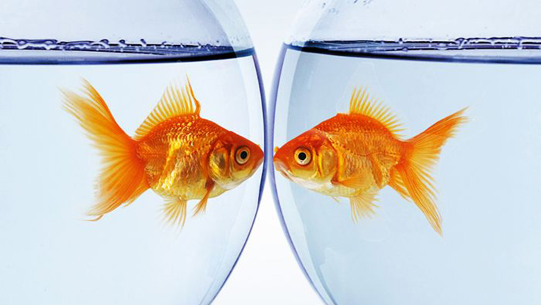 Illustrative article header image