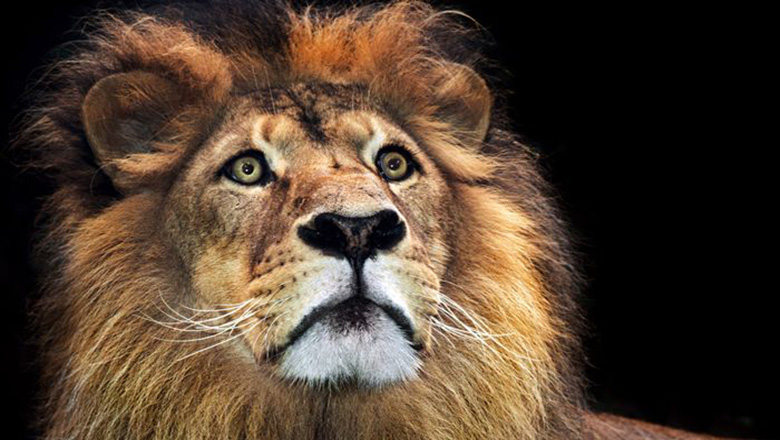 Illustrative article header image