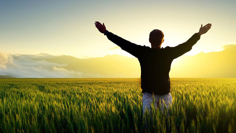 Illustrative article header image