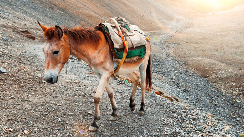 Illustrative article header image