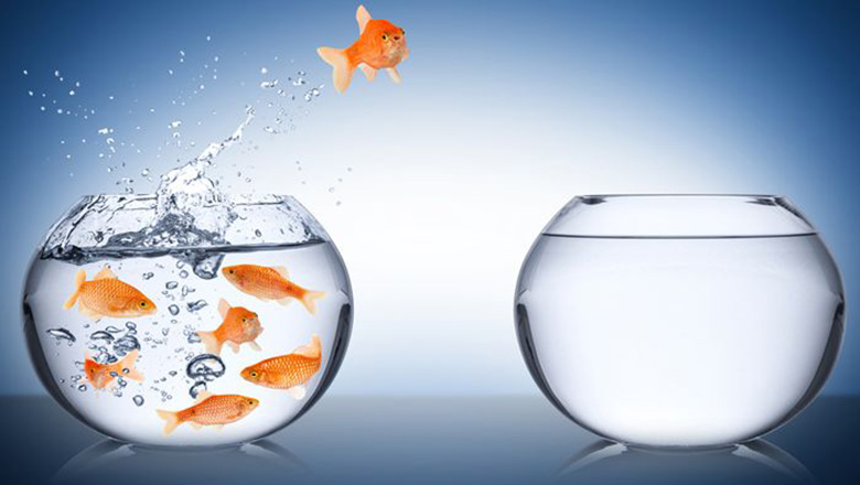 Illustrative article header image