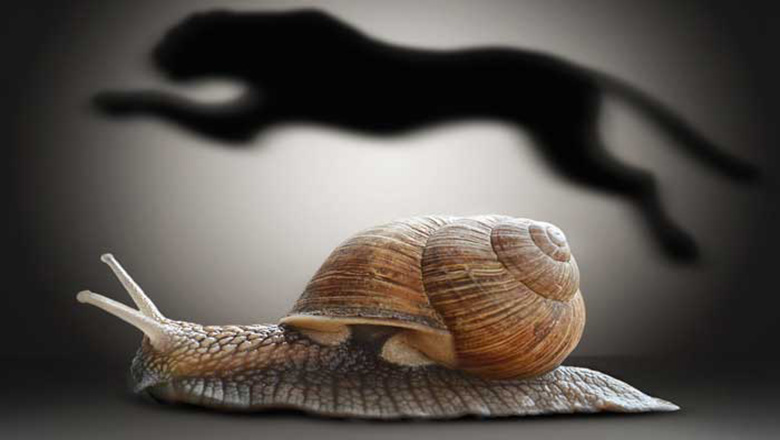 Illustrative article header image